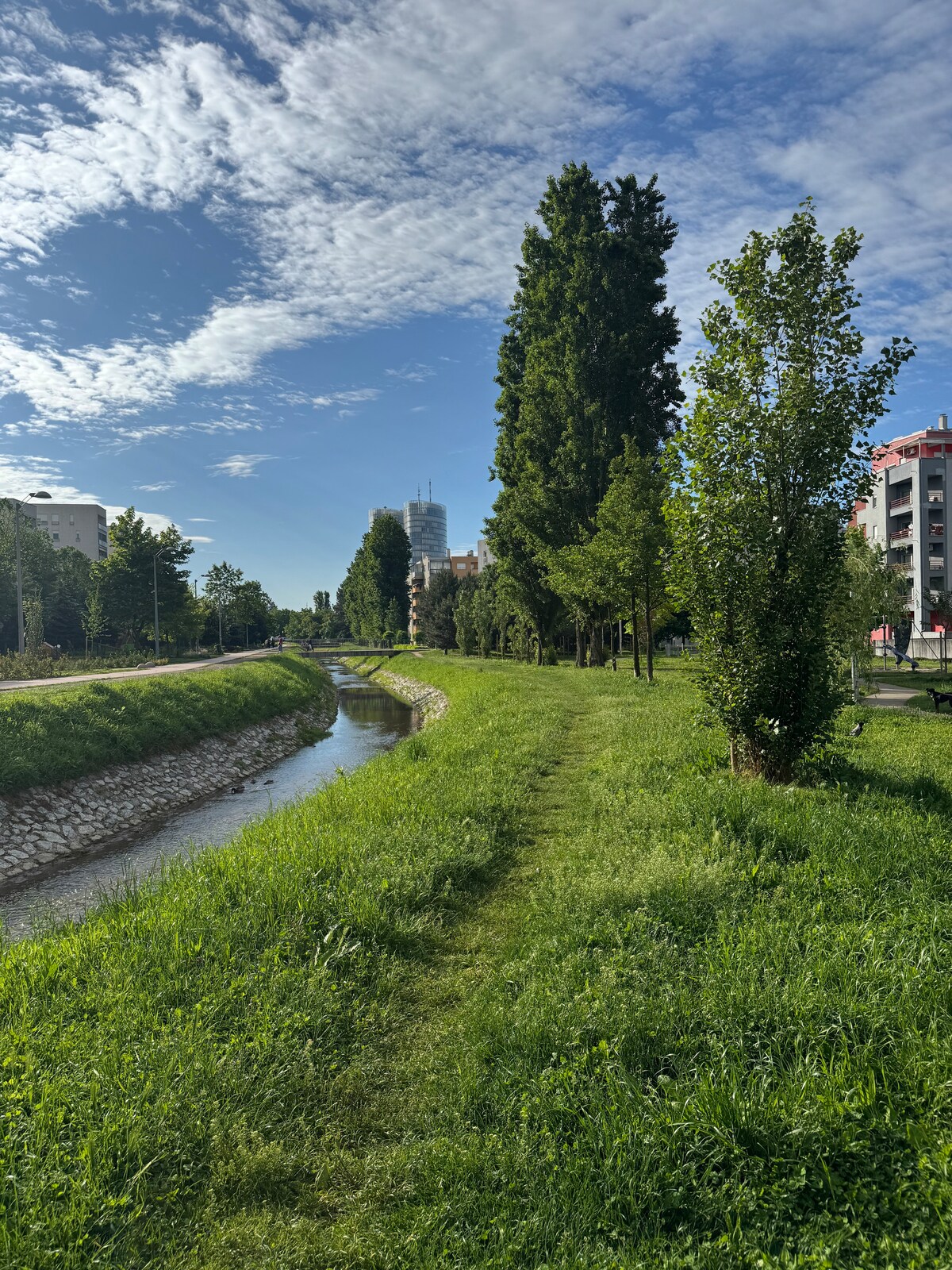 Creek and greenery